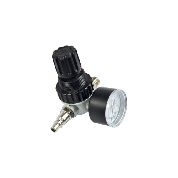 Pressure regulator with gauge